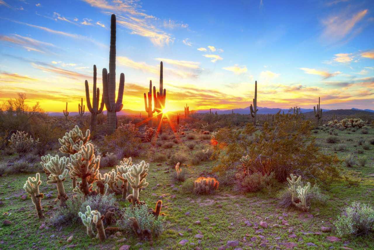Cambria Hotel Phoenix Chandler - Fashion Center Экстерьер фото