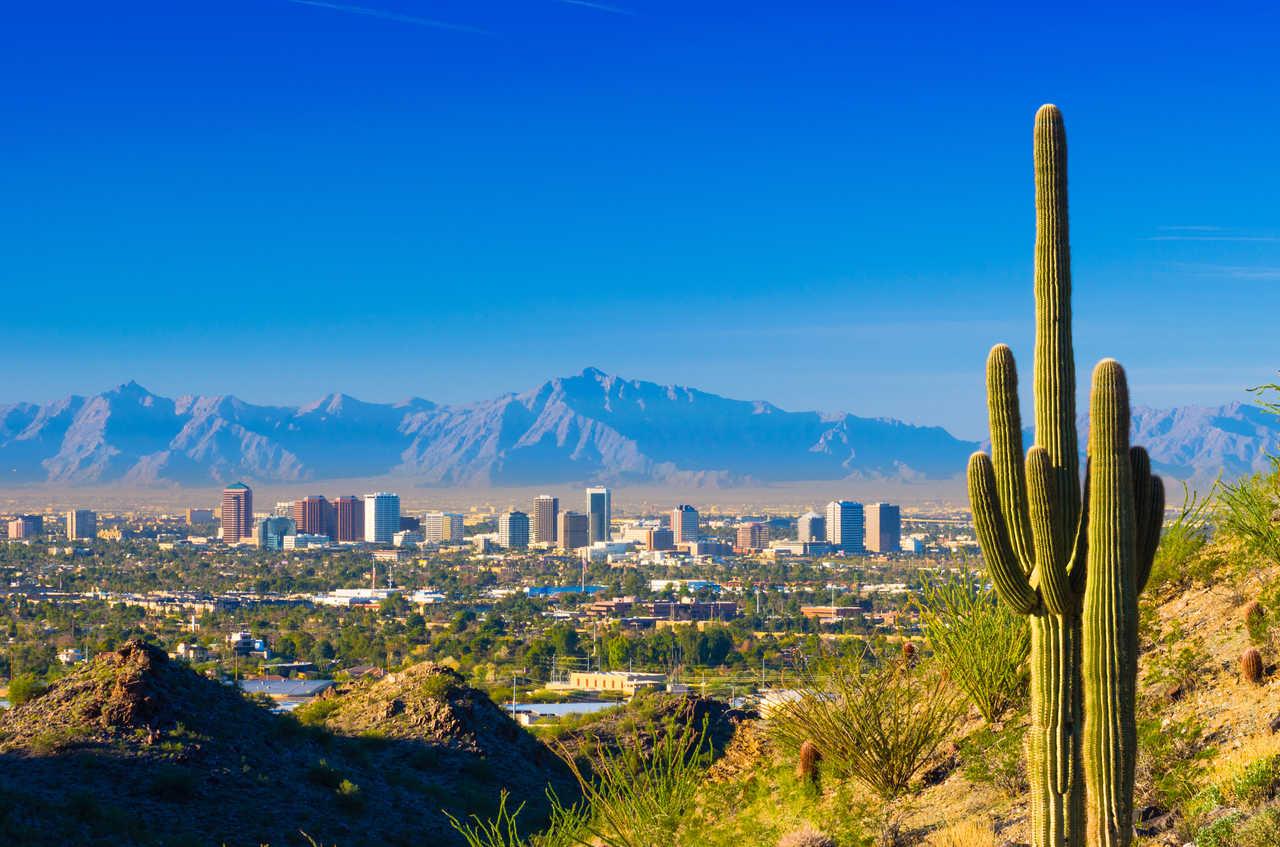 Cambria Hotel Phoenix Chandler - Fashion Center Экстерьер фото